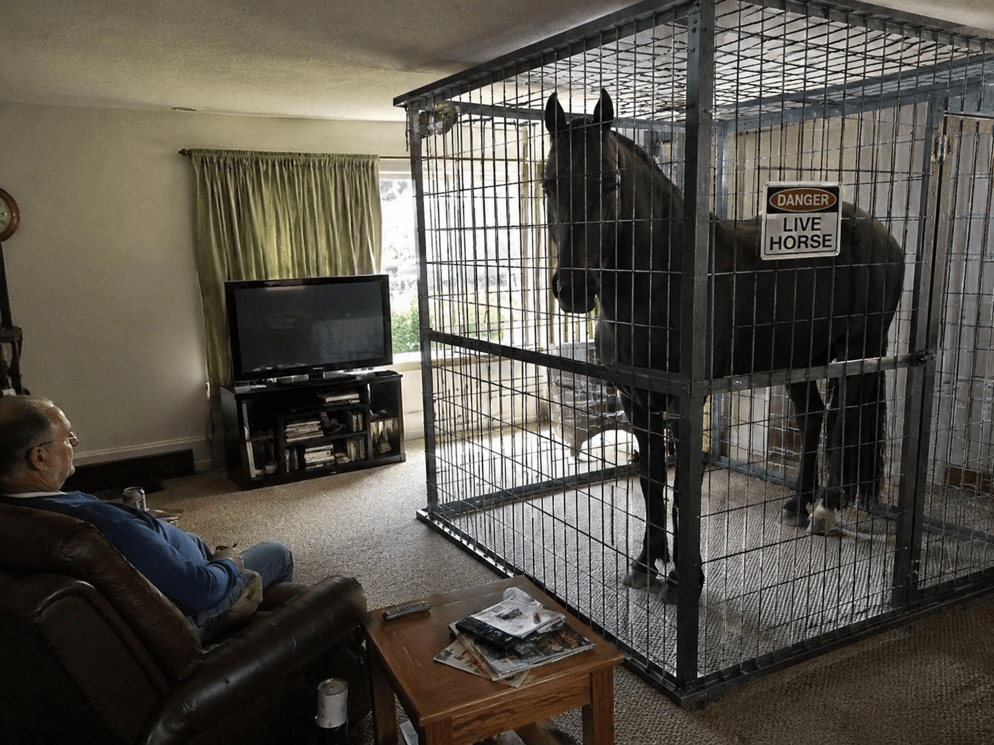 A black horse in a cage inside a living room.